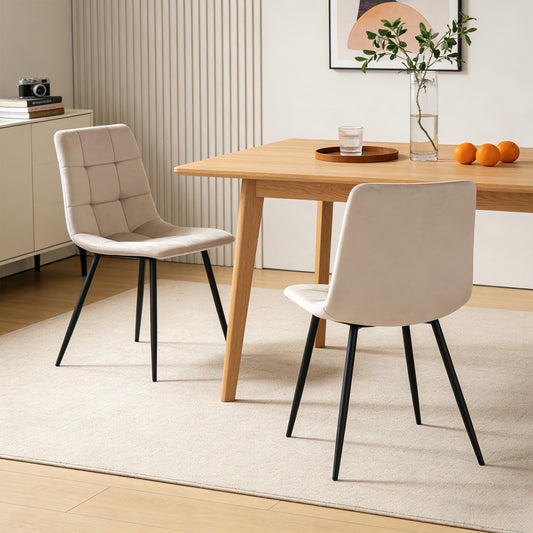Modern Dining Chairs Set of 2 -Shop Without Limits