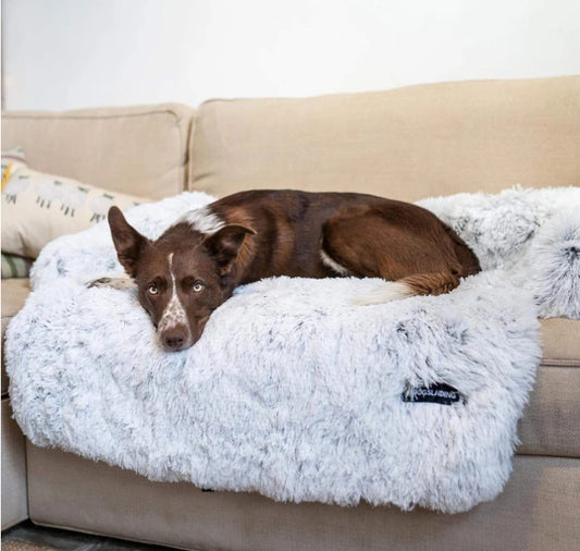 Pet Cushion Pet Rest Cushion – Shop Without Limits