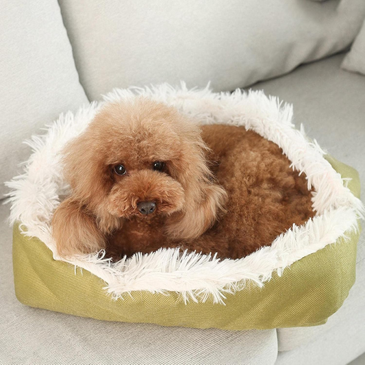 Pet Mat and Pet Nest Dual-Use – Shop Without Limits