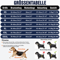 Hunde-Angstweste mit Kapuze – Beruhigungsshirt gegen Gewitter, Feuerwerk & Trennungsangst