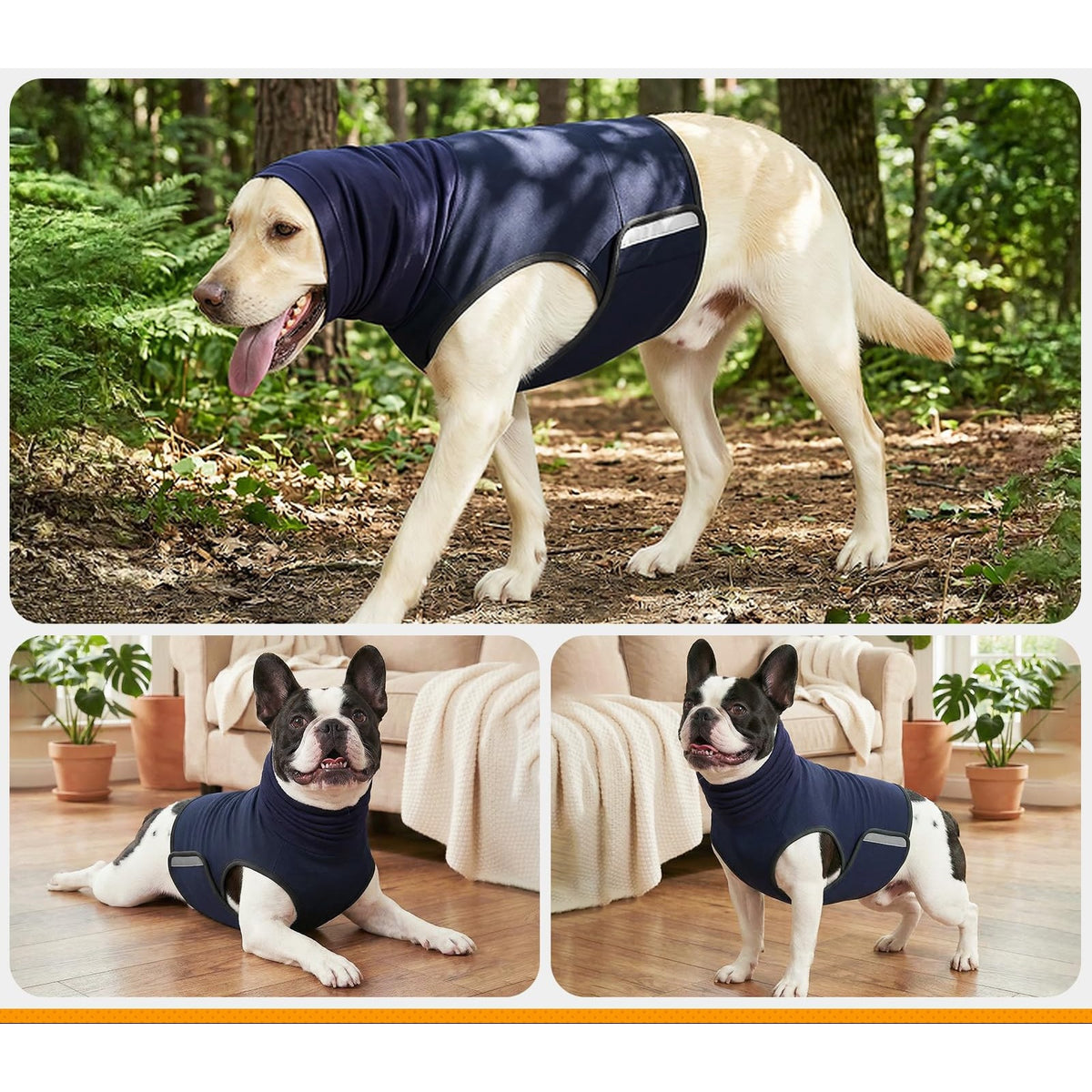 Hunde-Angstweste mit Kapuze – Beruhigungsshirt gegen Gewitter, Feuerwerk & Trennungsangst