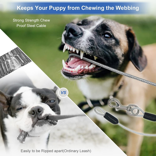 Pet Retractable Charging Lead Rope – Shop Without Limits